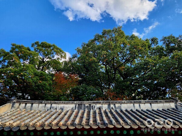 기부 관련 이미지